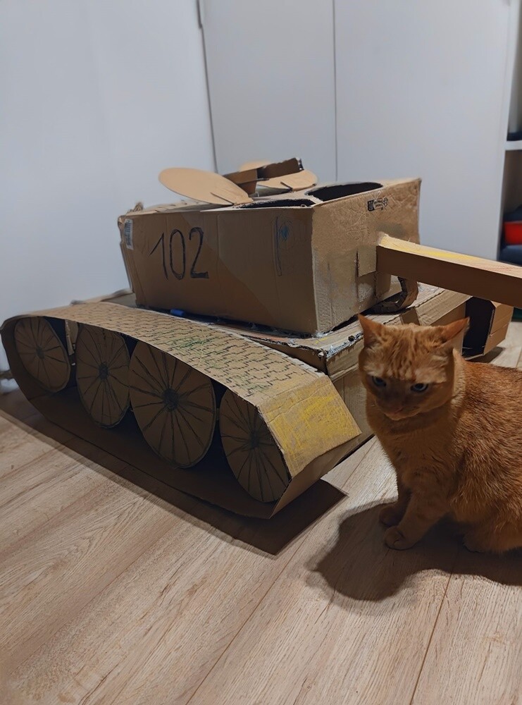 Światowy Dzień Kota. / fot. Czytelnicy