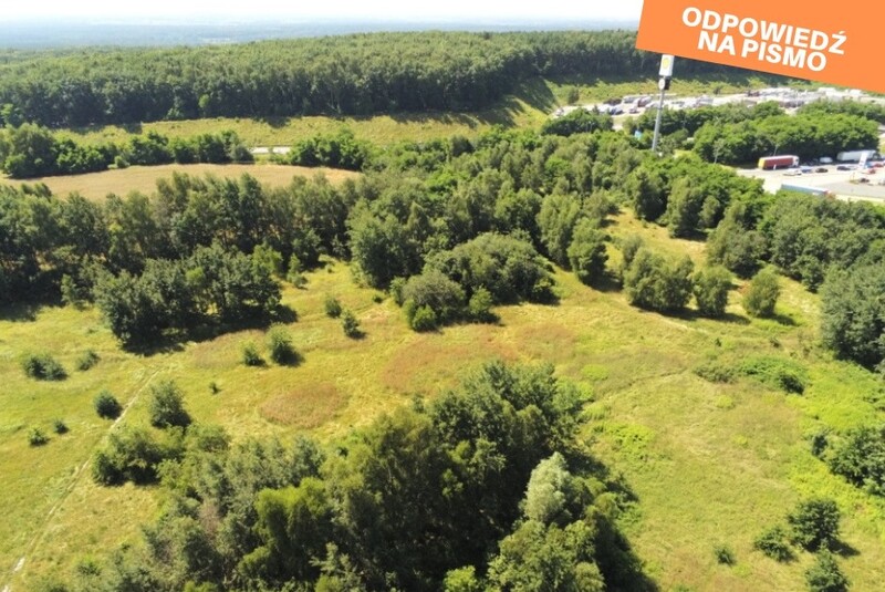 Tereny zielone w okolicy Strefy Aktywności Mrówcza Górka nie zostaną sprzedane