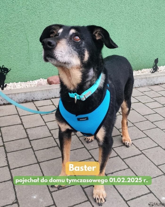 Adopcyjne podsumowanie tygodnia/fot. TOZ Fauna