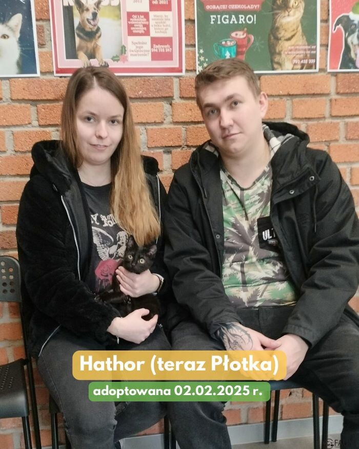 Adopcyjne podsumowanie tygodnia/fot. TOZ Fauna