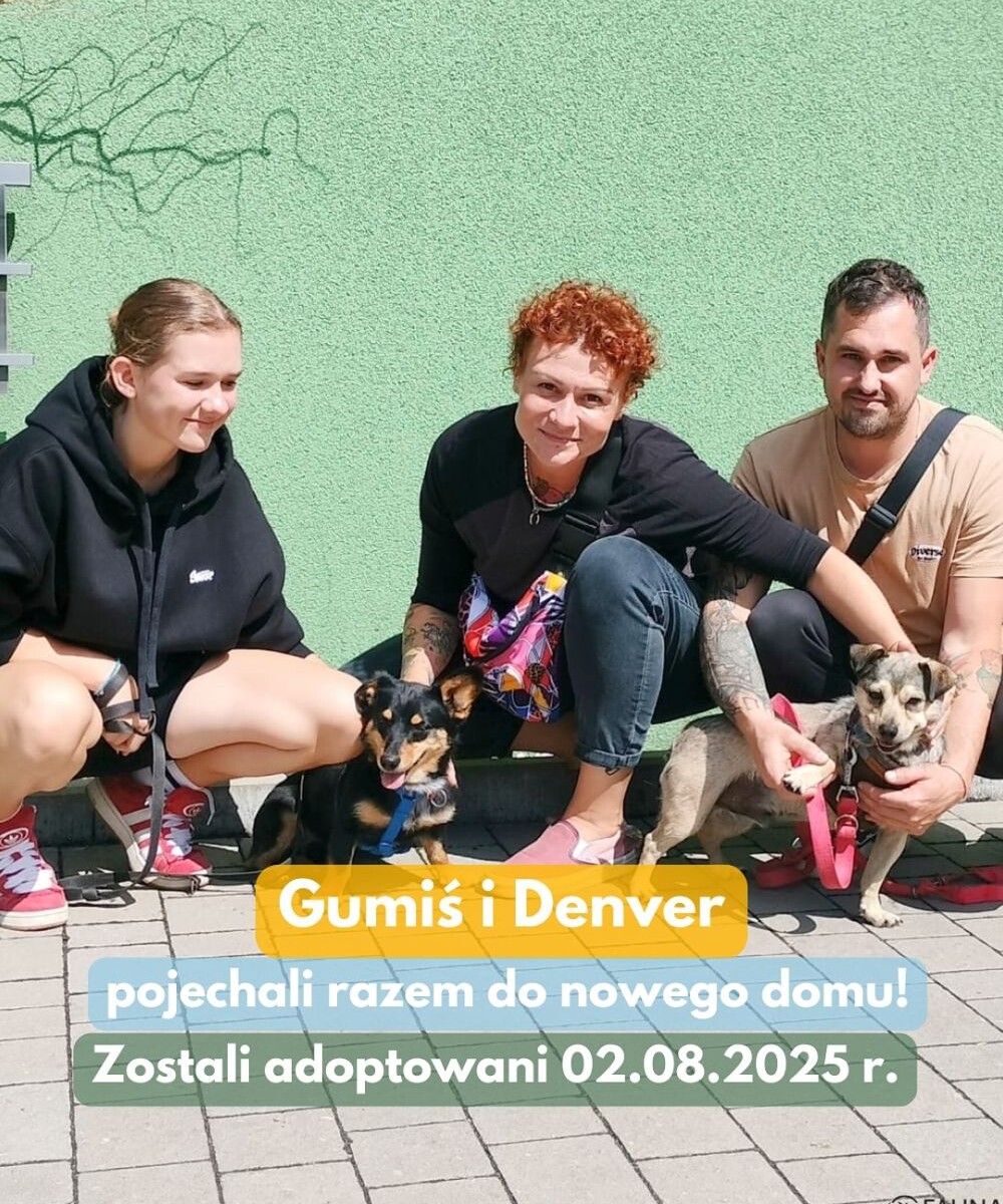 Kolejne zwierzaki znalazły dom – sprawdź adopcyjne podsumowanie tygodnia/fot. TOZ Fauna