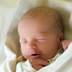 Tymoteusz Szołtysek