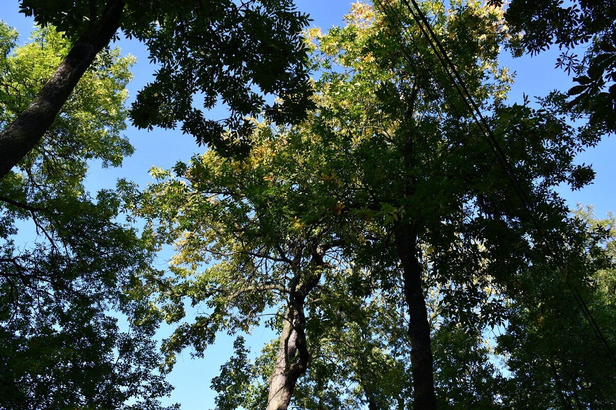 Ulica Sobieskiego w Rudzie.