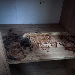 Usługi sprzątania i dezynfekcji po zgonach w całej Polsce | Kastelnik