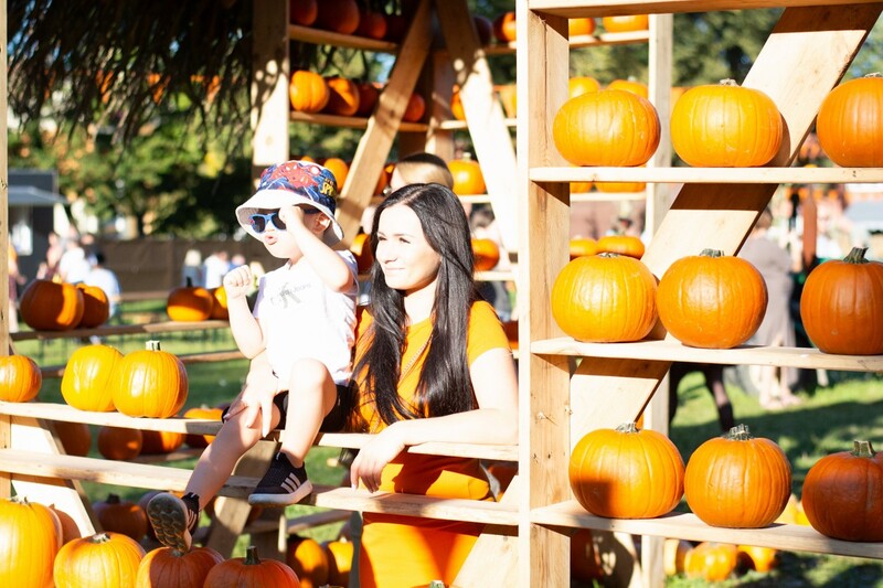 W Rudzie Śląskiej znów pojawiła się farma dyniowa!