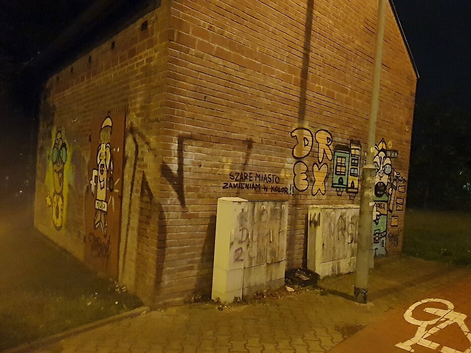 Graffiti i pseudograffiti pokrywa wiele elewacji w Rudzie Śląskiej. Niedawno mundurowi z drogówki zatrzymali „nocnego artystę”, który odpowie za zniszczenie mienia i pokrycie elewacji Szkoły Muzycznej malunkami. W zapobieganie aktom wandalizmu w mieście w postaci pseudograffiti włączyli się także społecznicy z grupy „Pogromcy Bazgrołów - Ruda Śląska". Zdjęcia pochodzą od grupy "Pogromcy Bazgrołów".
