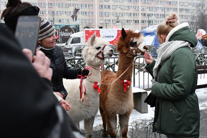 Wawel Truck i Świąteczny Konwój Radia Zet w Rudzie Śląskiej