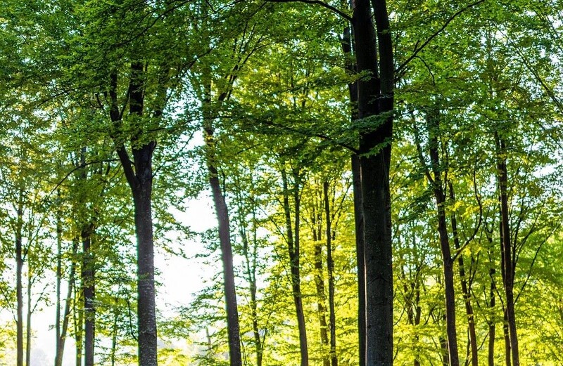 Widzisz fotopułapkę? Nie zdradzaj innym jej lokalizacji!