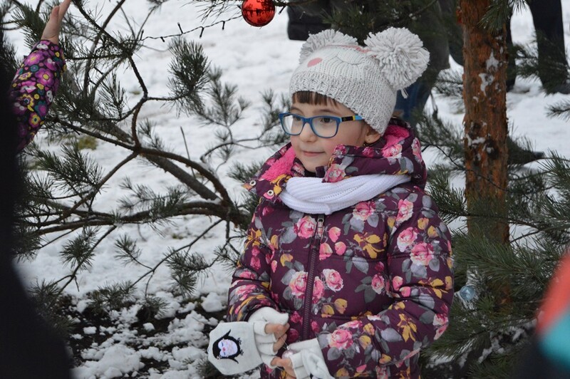 Wielkie strojenie choinki w Kochłowicach