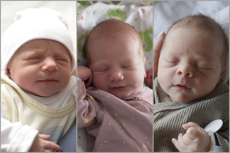 Witamy najmłodszych mieszkańców Rudy Śląskiej! [FOTO]