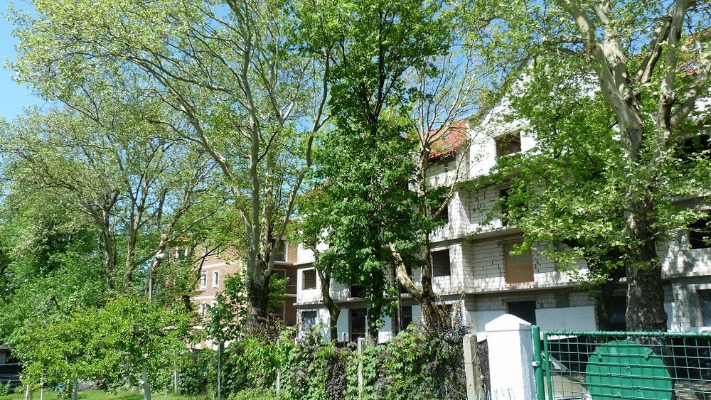 Własne "M" na każdą kieszeń! Zamieszkaj bez teściowej!