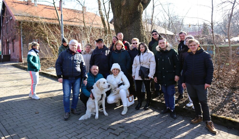 Trwa wycinka drzew w dzielnicy Ruda pod trasę N-S/fot. Janusz Żurek, Krystian Mrukwa