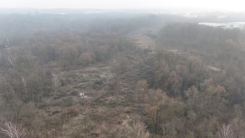 Trwa wycinka drzew w dzielnicy Ruda pod trasę N-S/fot. Natalia Salwiczek