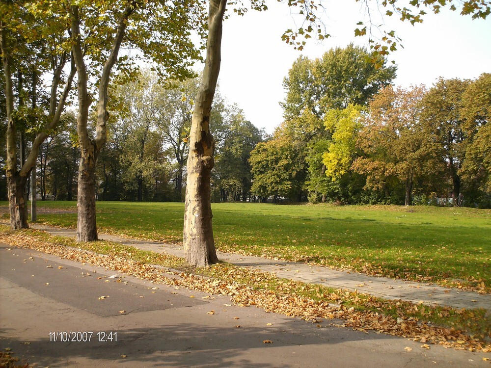 Wymarzone mieszkanie - budujemy je dla Ciebie!