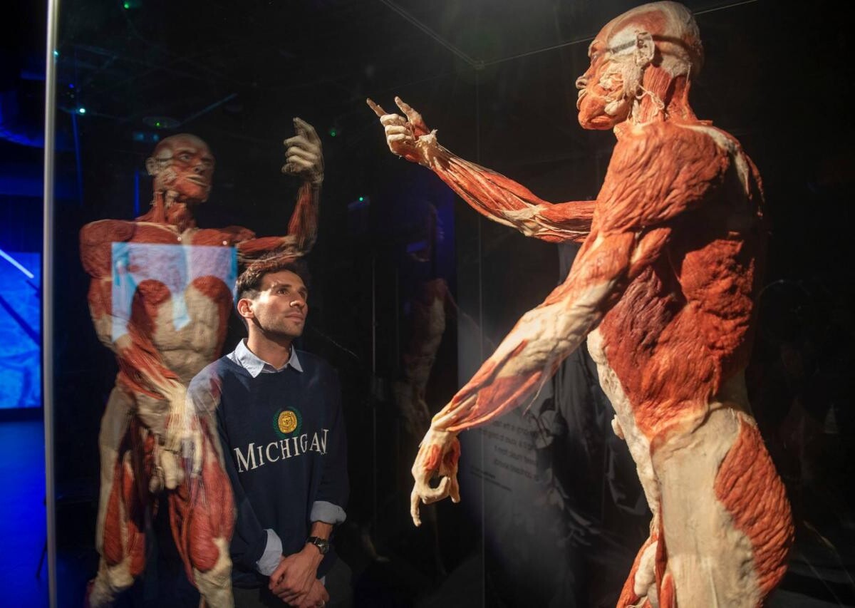 Wystawa BODY WORLDS powraca do Katowic z nową ekspozycją!