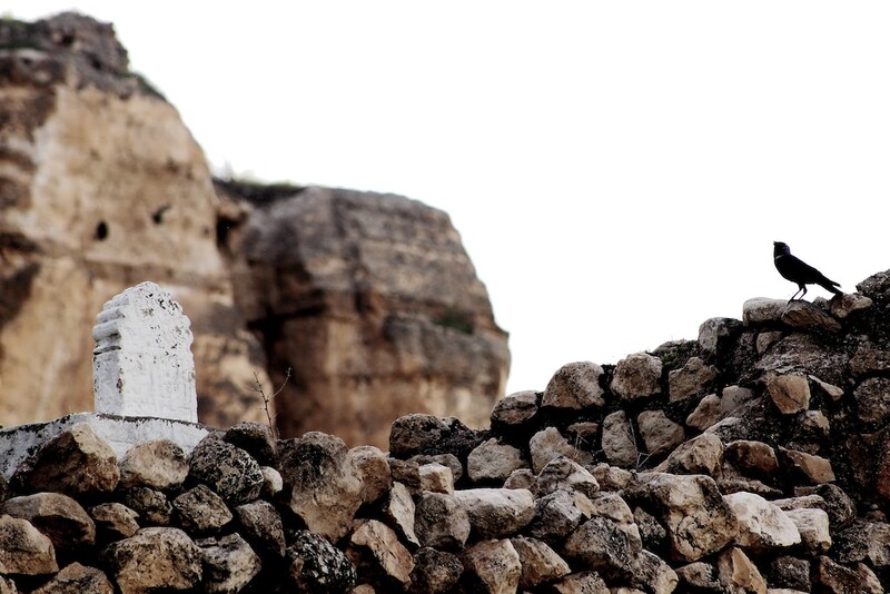 Wywóz śmieci Katowice: efektywne zarządzanie odpadami