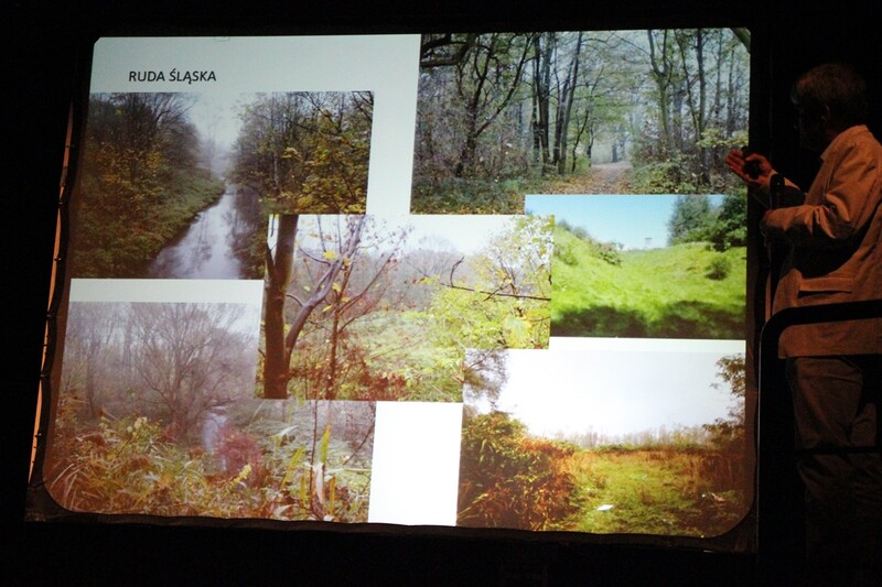 Z pomysłem na dzikie tereny zielone