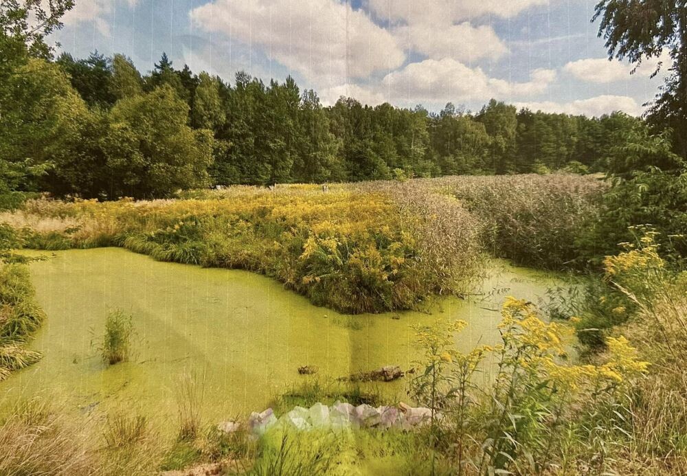 Zdjęcie doliny Kłodnicy nadesłane przez mieszkańców wraz z listem/fot. FB Ewa Chmielewska