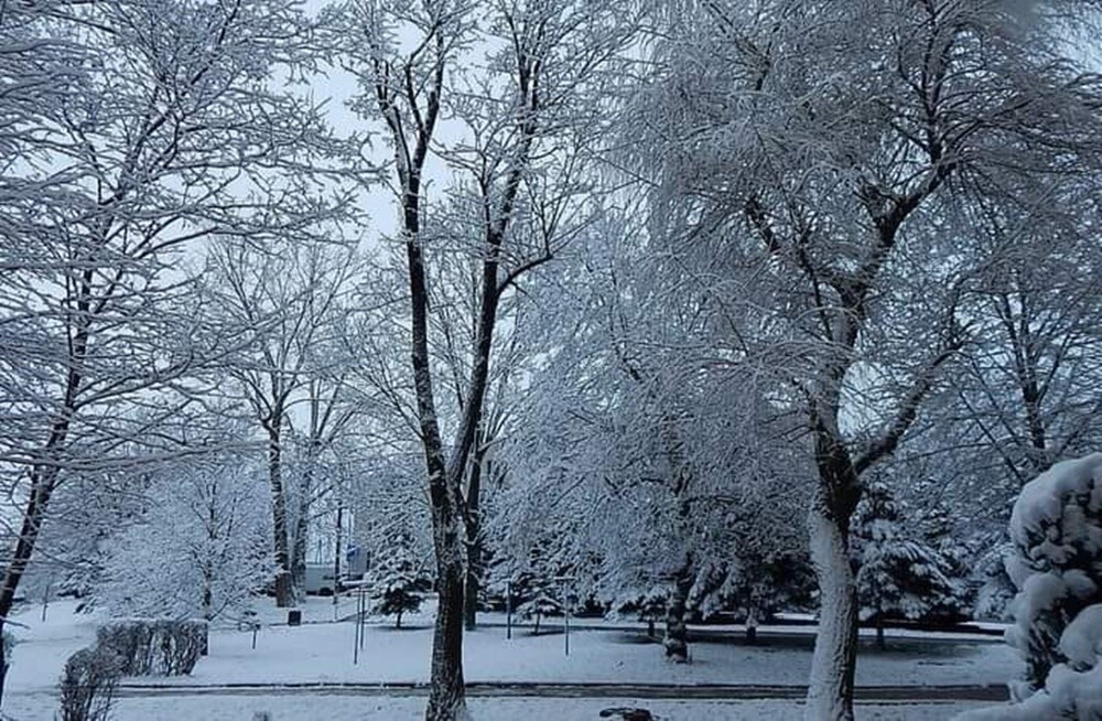 Ostatnie opady śniegu oraz niskie temperatury spowodowały, że poczuliśmy klimat ferii. Jak wygląda miasto przysypane śniegiem? Sprawdźcie w naszej galerii!

fot. Zdjęcia Czytelników