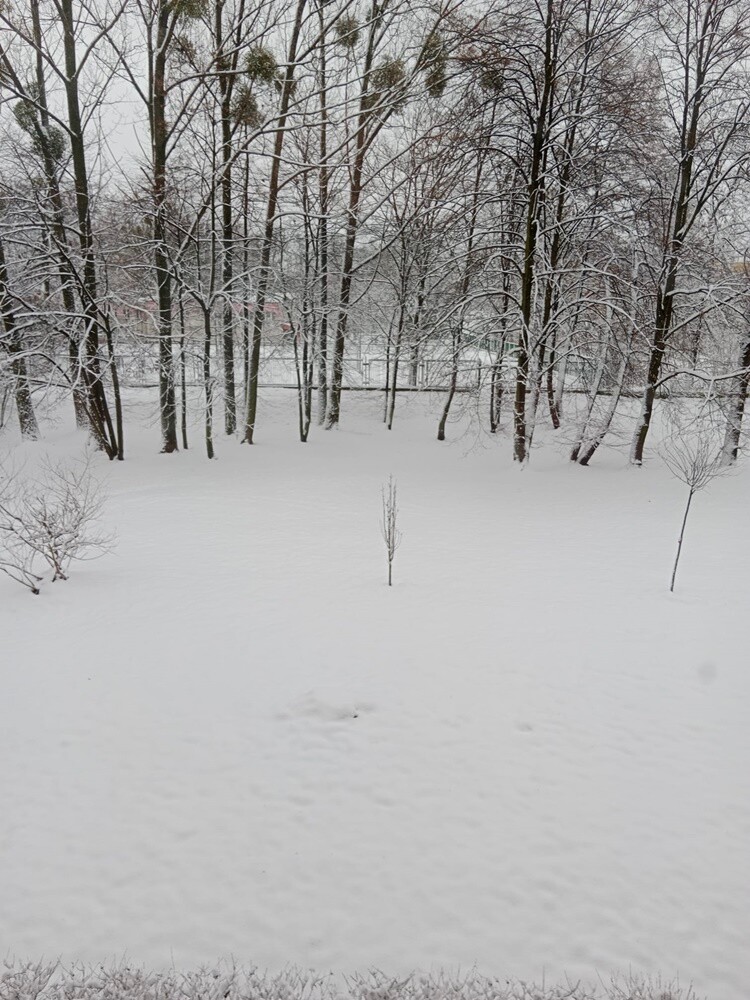 Ostatnie opady śniegu oraz niskie temperatury spowodowały, że poczuliśmy klimat ferii. Jak wygląda miasto przysypane śniegiem? Sprawdźcie w naszej galerii!

fot. Zdjęcia Czytelników