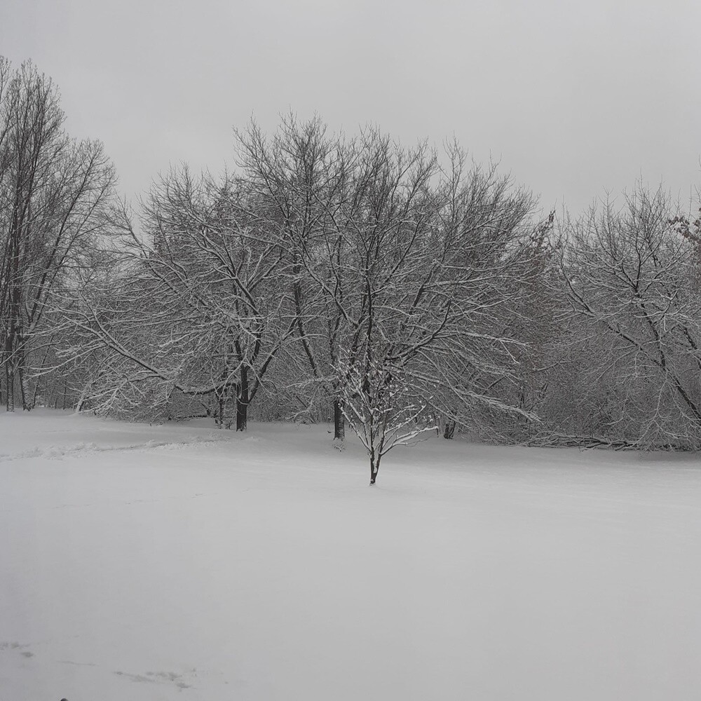 Ostatnie opady śniegu oraz niskie temperatury spowodowały, że poczuliśmy klimat ferii. Jak wygląda miasto przysypane śniegiem? Sprawdźcie w naszej galerii!

fot. Zdjęcia Czytelników