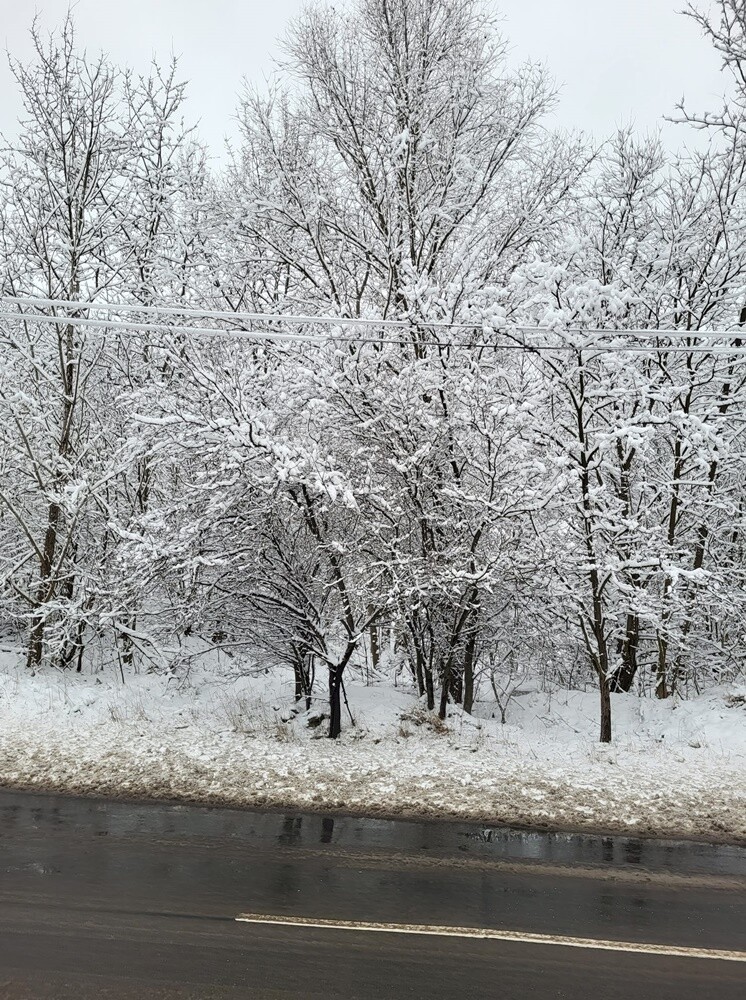 Ostatnie opady śniegu oraz niskie temperatury spowodowały, że poczuliśmy klimat ferii. Jak wygląda miasto przysypane śniegiem? Sprawdźcie w naszej galerii!

fot. Zdjęcia Czytelników
