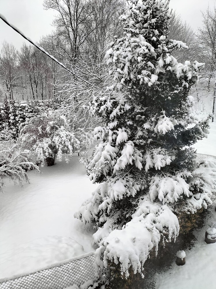 Ostatnie opady śniegu oraz niskie temperatury spowodowały, że poczuliśmy klimat ferii. Jak wygląda miasto przysypane śniegiem? Sprawdźcie w naszej galerii!

fot. Zdjęcia Czytelników