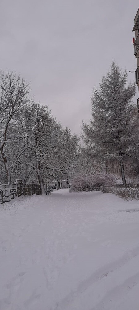Ostatnie opady śniegu oraz niskie temperatury spowodowały, że poczuliśmy klimat ferii. Jak wygląda miasto przysypane śniegiem? Sprawdźcie w naszej galerii!

fot. Zdjęcia Czytelników