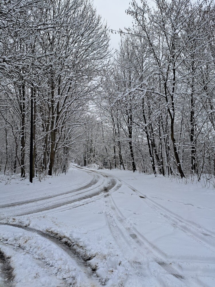 Ostatnie opady śniegu oraz niskie temperatury spowodowały, że poczuliśmy klimat ferii. Jak wygląda miasto przysypane śniegiem? Sprawdźcie w naszej galerii!

fot. Zdjęcia Czytelników