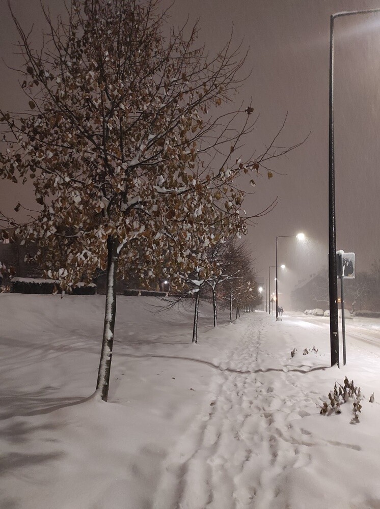 Śnieg w Rudzie Śląskiej. Zobaczcie zdjęcia naszych Czytelników!