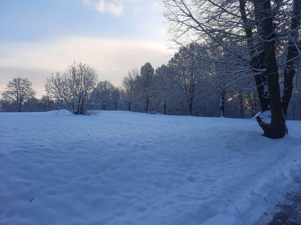 Śnieg zadomowił się u nas chyba na dobre. Zobaczcie, jak prezentuje się Ruda Śląska, przyozdobiona białym płaszczem. 

zdjęcia czytelników