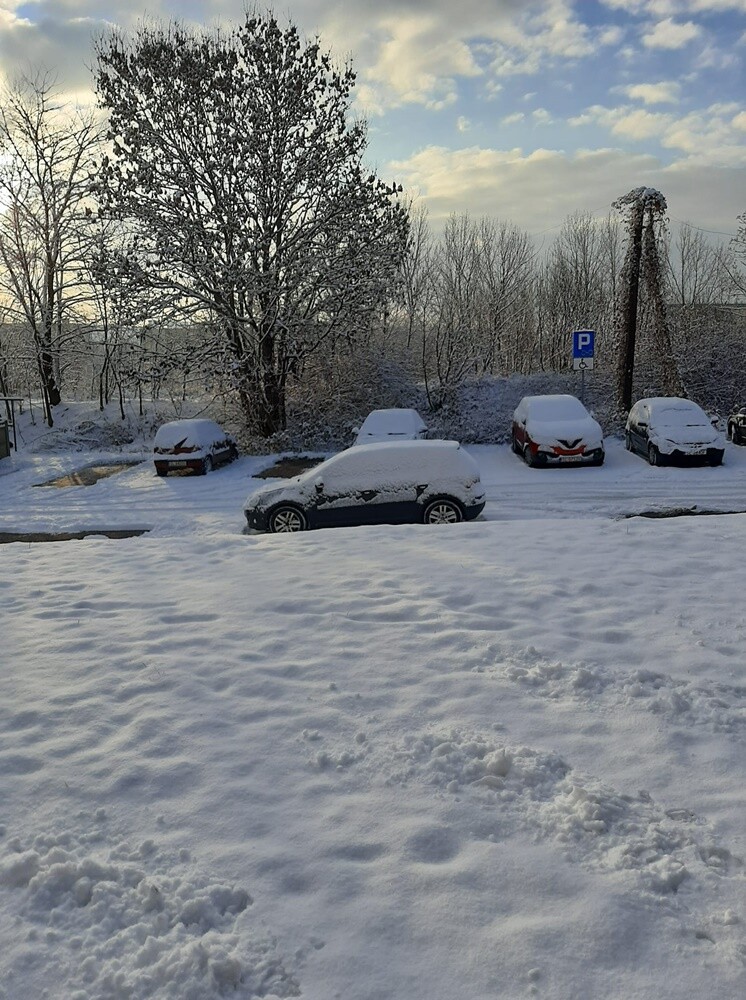 Śnieg zadomowił się u nas chyba na dobre. Zobaczcie, jak prezentuje się Ruda Śląska, przyozdobiona białym płaszczem. 

zdjęcia czytelników