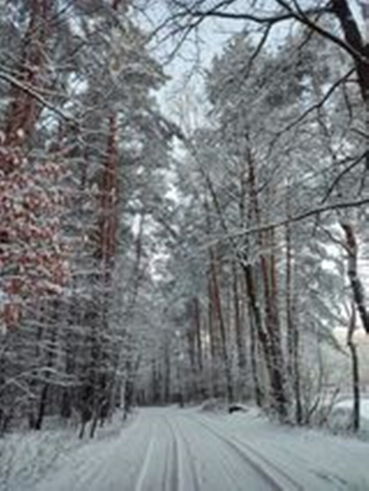 Śnieg zadomowił się u nas chyba na dobre. Zobaczcie, jak prezentuje się Ruda Śląska, przyozdobiona białym płaszczem. 

zdjęcia czytelników