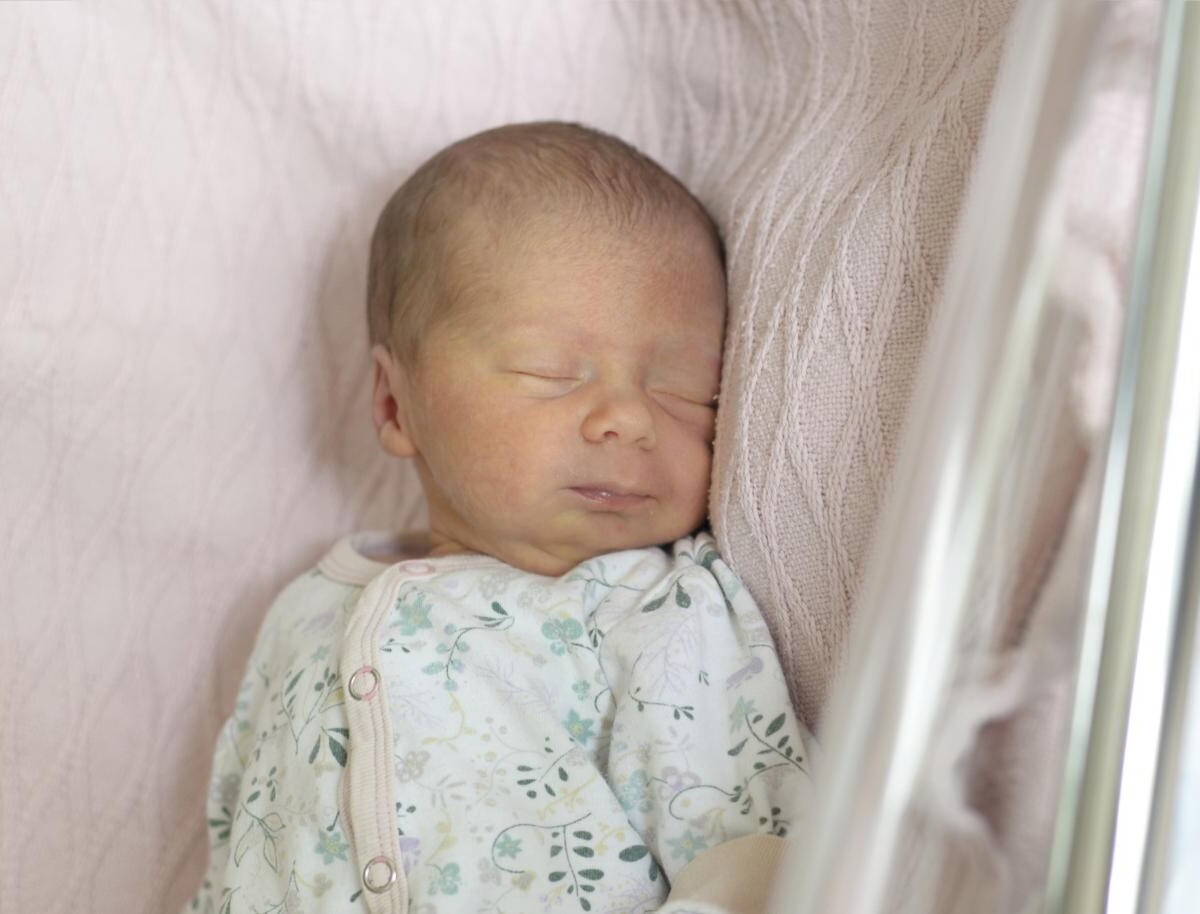 Zuzanna Wojciechowska